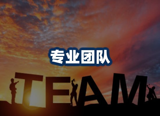 专业团队